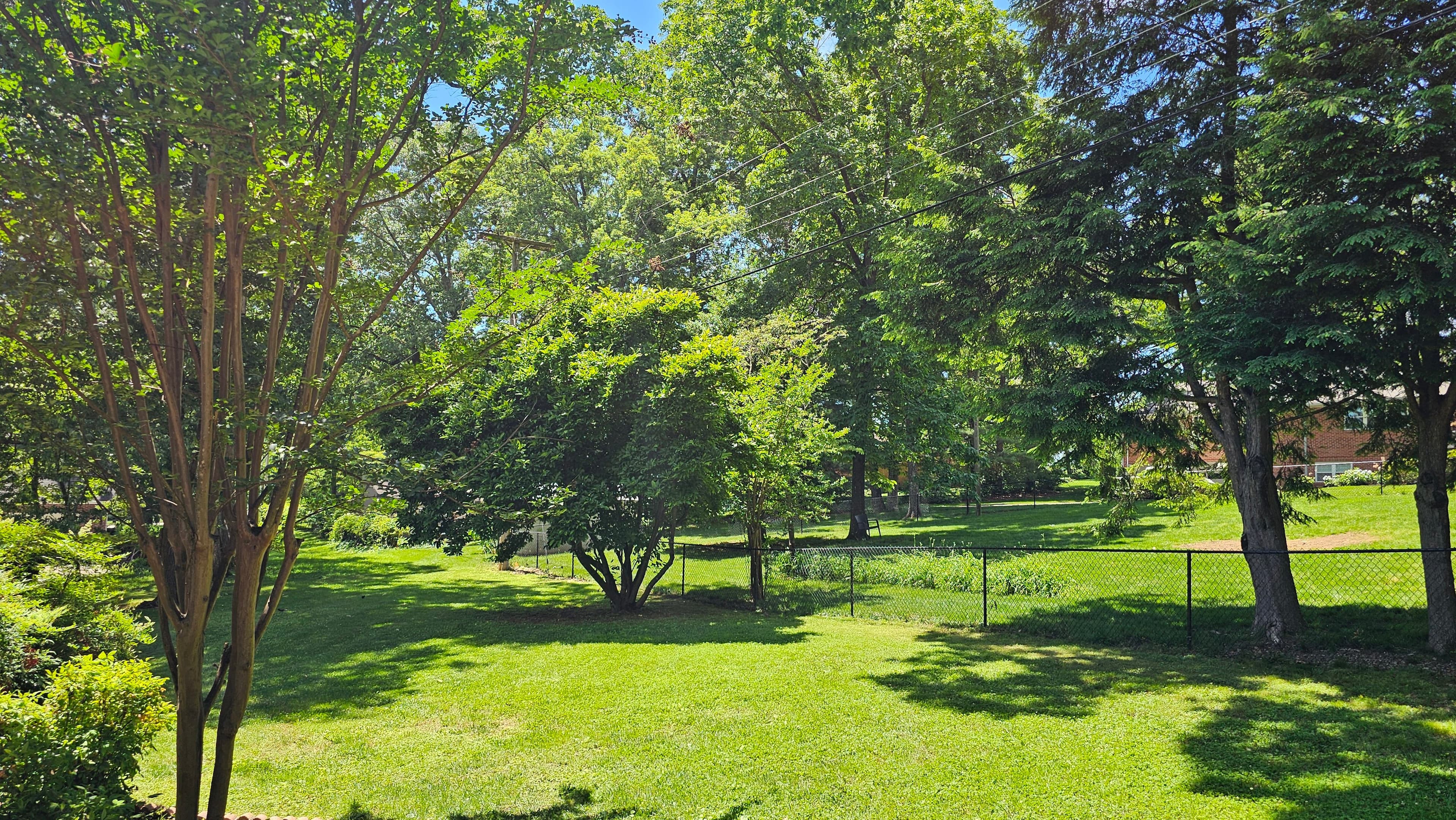 Shade Area Specialization - Professional lawn care by Matthew Garner