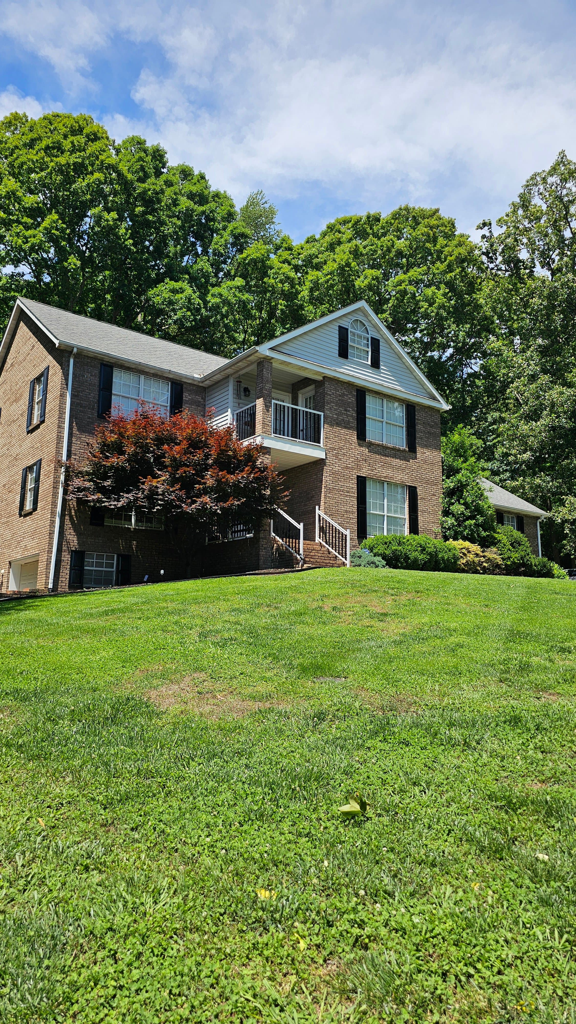 Summer Lawn Care Strategies for East Tennessee