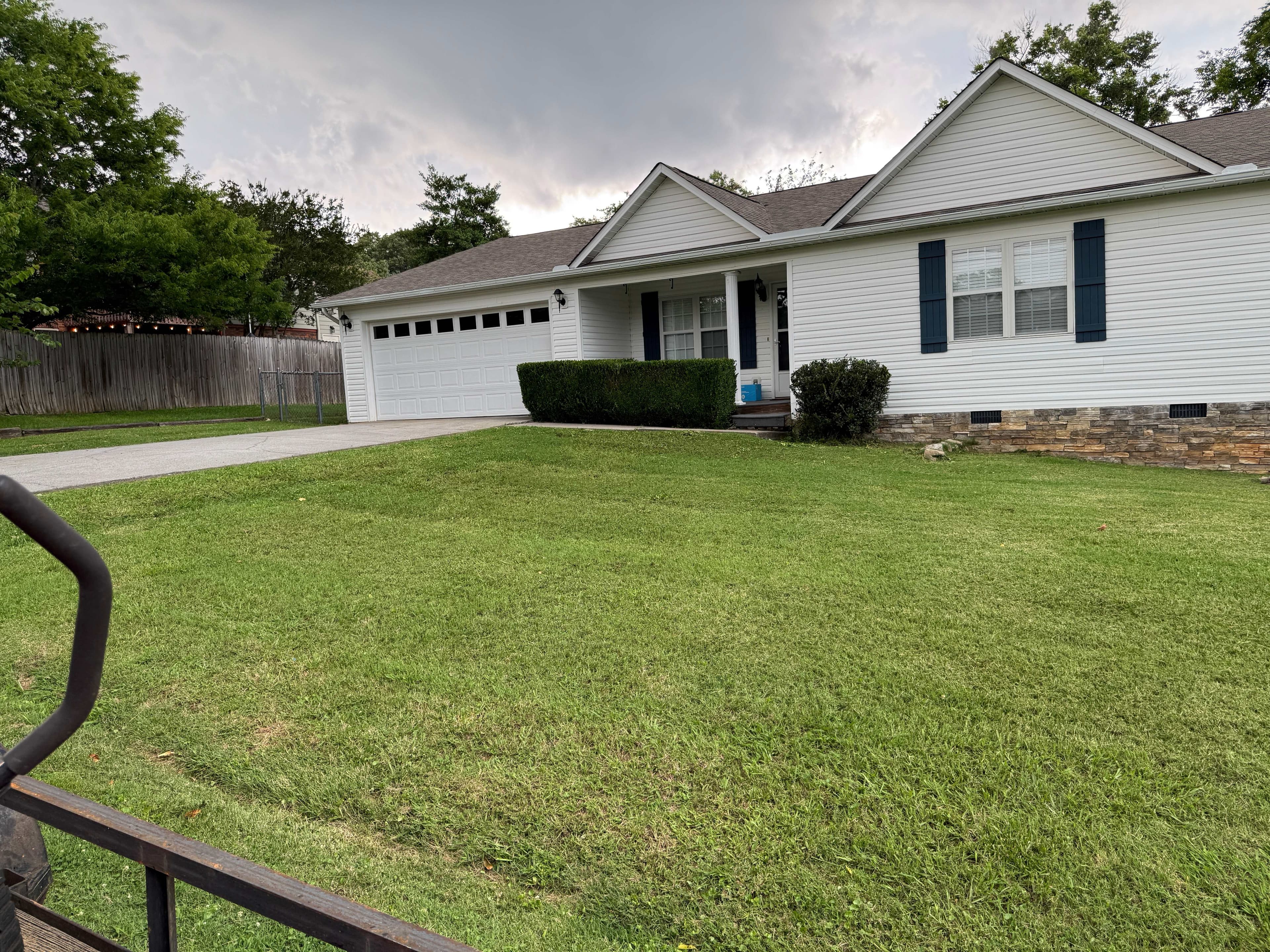 Dealing with Tennessee Fescue: A Complete Guide