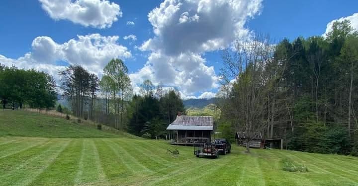 Professional forestry mulching results - large rural property transformation