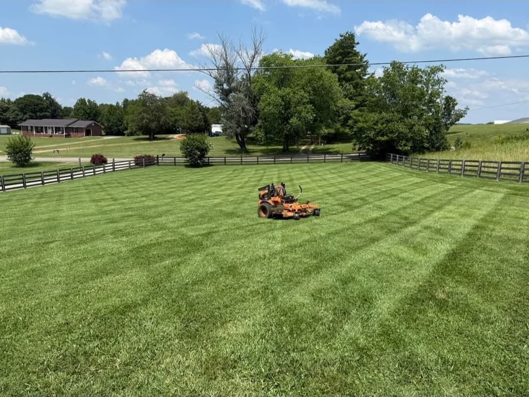 Consistent excellence in professional lawn care with beautiful mowing patterns