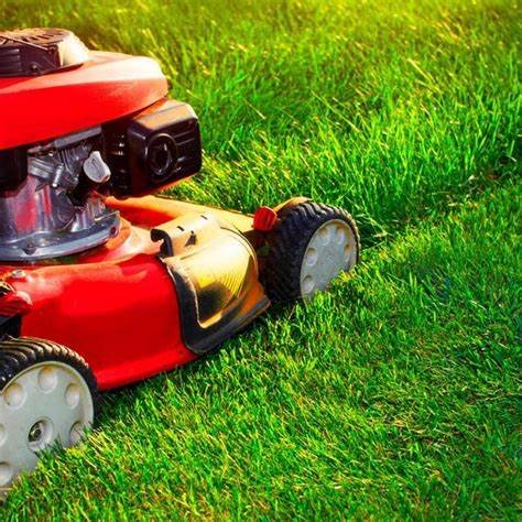 Lawn Mowing