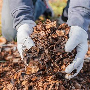 Leaf Mulching